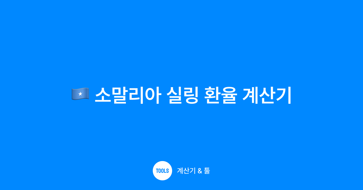 소말리아 실링 환율 계산기